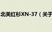 北美红杉XN-37（关于北美红杉XN-37简介）