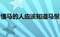 懂马的人应该知道马鬃毛是指马脖子上的长毛