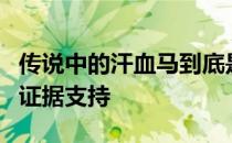 传说中的汗血马到底是谁已经难以找到确切的证据支持