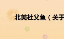 北美杜父鱼（关于北美杜父鱼简介）