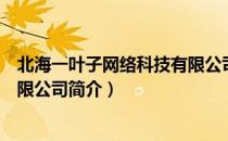 北海一叶子网络科技有限公司（关于北海一叶子网络科技有限公司简介）