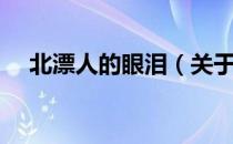 北漂人的眼泪（关于北漂人的眼泪简介）