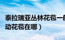 泰拉瑞亚丛林花苞一般在哪（泰拉瑞亚丛林躁动花苞在哪）