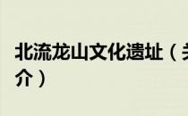 北流龙山文化遗址（关于北流龙山文化遗址简介）