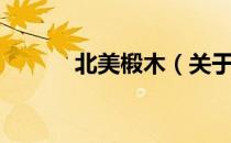 北美椴木（关于北美椴木简介）