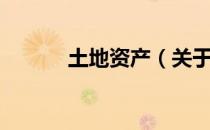 土地资产（关于土地资产简介）