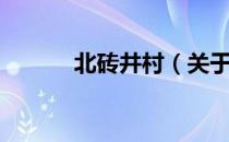 北砖井村（关于北砖井村简介）