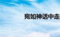 宛如神话中走来的阿拉伯马