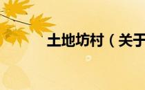 土地坊村（关于土地坊村简介）