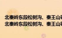 北秦岭东段松树沟、秦王山等超基性和基性岩体研究（关于北秦岭东段松树沟、秦王山等超基性和基性岩体研究简介）