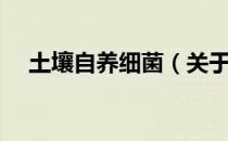 土壤自养细菌（关于土壤自养细菌简介）