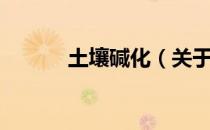 土壤碱化（关于土壤碱化简介）