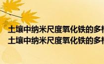 土壤中纳米尺度氧化铁的多样性和环境磁学效应机理（关于土壤中纳米尺度氧化铁的多样性和环境磁学效应机理简介）