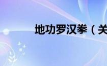 地功罗汉拳（关于地功罗汉拳）