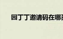 园丁丁邀请码在哪买（丁香园邀请码）