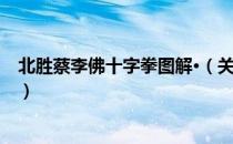北胜蔡李佛十字拳图解·（关于北胜蔡李佛十字拳图解·简介）