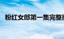 粉红女郎第一集完整版（粉红女郎第二部）