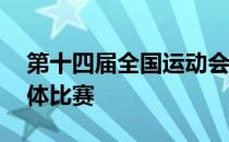 第十四届全国运动会射击10米气步枪混合团体比赛