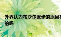 外界认为布沙尔退步的原因在于她过度沉溺于社交网络是真的吗