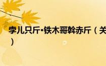 孛儿只斤·铁木哥斡赤斤（关于孛儿只斤·铁木哥斡赤斤介绍）