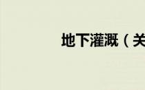 地下灌溉（关于地下灌溉）