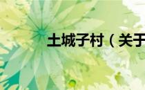 土城子村（关于土城子村简介）
