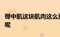 臀中肌这块肌肉这么重要我们该怎么进行锻炼呢