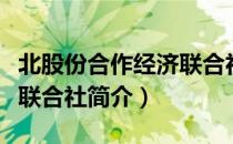 北股份合作经济联合社（关于北股份合作经济联合社简介）
