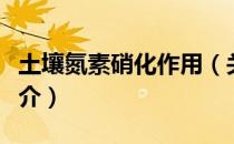 土壤氮素硝化作用（关于土壤氮素硝化作用简介）
