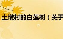 土墩村的白莲树（关于土墩村的白莲树简介）