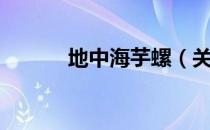 地中海芋螺（关于地中海芋螺）