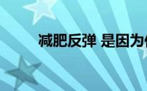 减肥反弹 是因为你的方法很扯淡！