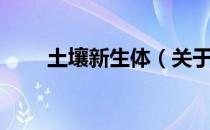 土壤新生体（关于土壤新生体简介）