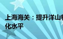 上海海关：提升洋山特殊综合保税区贸易便利化水平