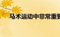 马术运动中非常重要的心是哪几个方面