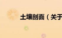 土壤剖面（关于土壤剖面简介）