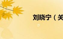 刘晓宁（关于刘晓宁）