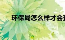 环保局怎么样才会查（环保局怎么样）