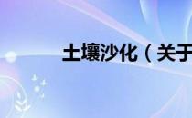 土壤沙化（关于土壤沙化简介）