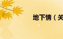 地下情（关于地下情）
