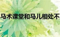 马术课堂和马儿相处不了解它在想什么可不行