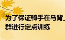 为了保证骑手在马背上的平衡需要对核心肌肉群进行定点训练