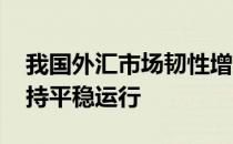 我国外汇市场韧性增强 有基础有条件继续保持平稳运行