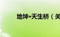 地坤·天生桥（关于地坤·天生桥）