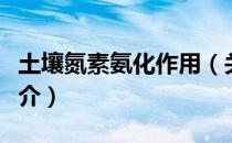 土壤氮素氨化作用（关于土壤氮素氨化作用简介）
