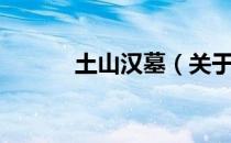 土山汉墓（关于土山汉墓简介）