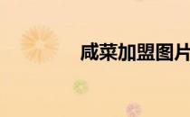 咸菜加盟图片（咸菜加盟）