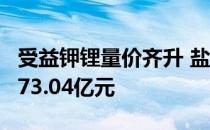 受益钾锂量价齐升 盐湖股份上半年实现营收173.04亿元