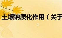 土壤钠质化作用（关于土壤钠质化作用简介）