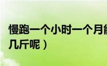 慢跑一个小时一个月能瘦几斤（慢跑一个月瘦几斤呢）